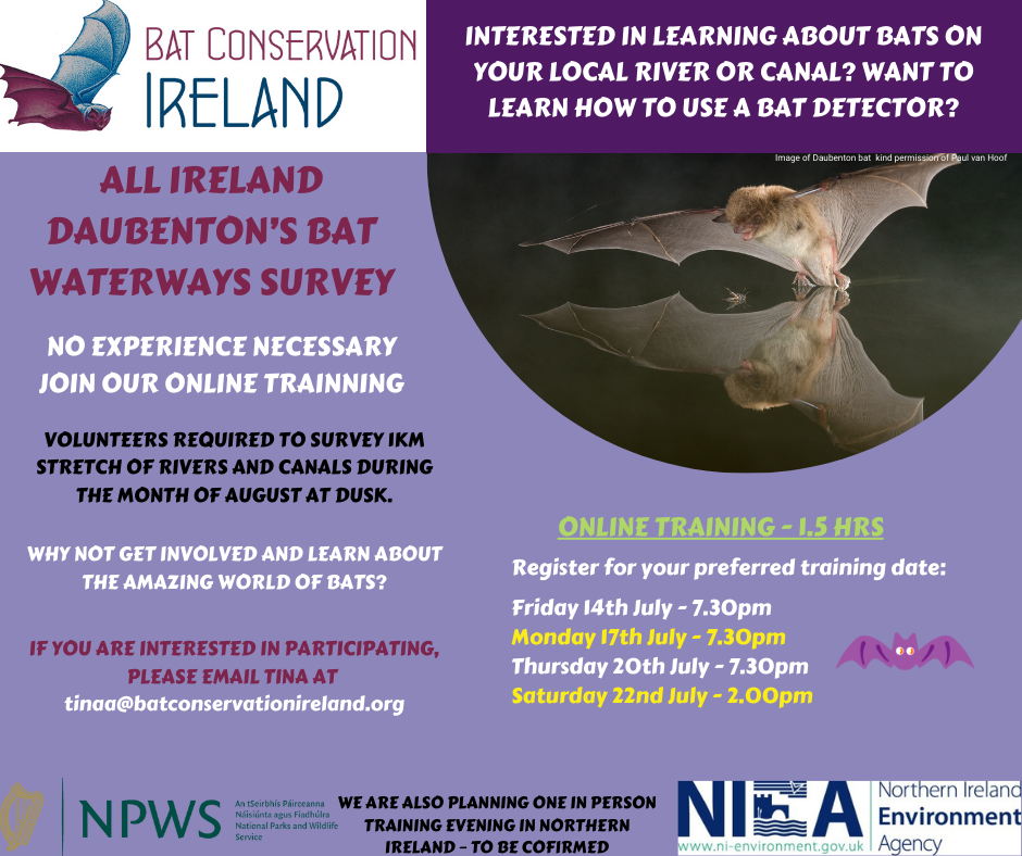 Bat Survey Training from Bat Conservation Ireland