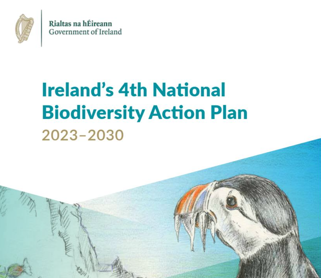 Poster of Ireland’s 4th National Biodiversity Action Plan 2023–2030