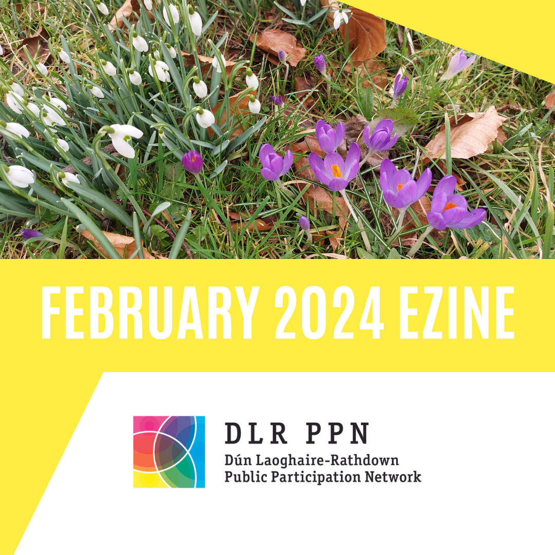 Cover of February 2024 Ezine