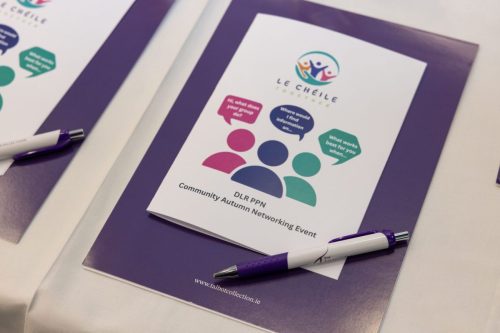 DLR PPN.        Picture by Shane O'Neill, Coalesce.