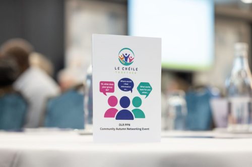 DLR PPN.        Picture by Shane O'Neill, Coalesce.