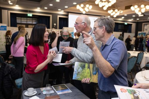 DLR PPN.        Picture by Shane O'Neill, Coalesce.