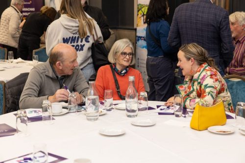 DLR PPN.        Picture by Shane O'Neill, Coalesce.