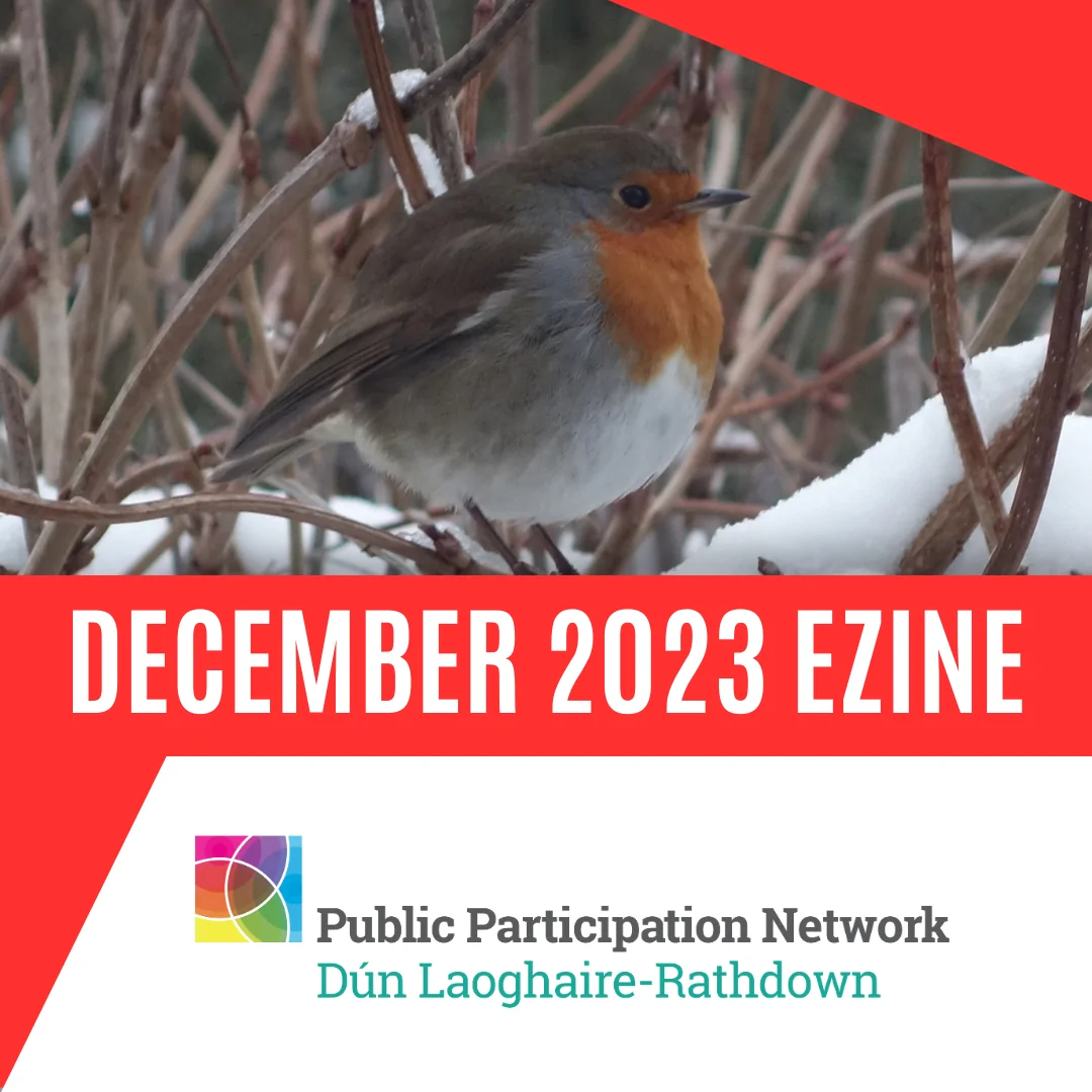 Cover of December 2024 Ezine