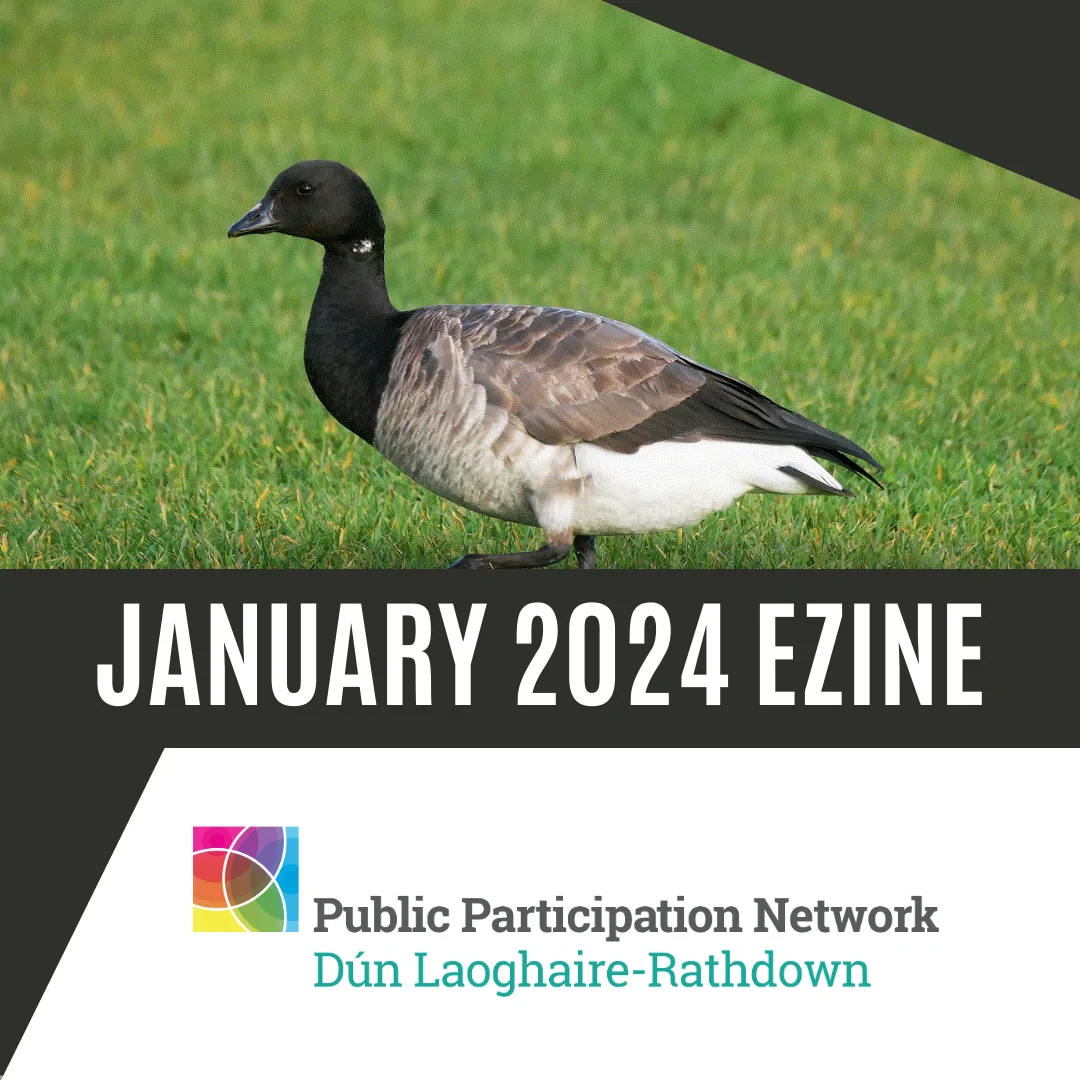 Cover of January 2024 Ezine